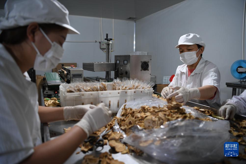 大奖网官方网站app